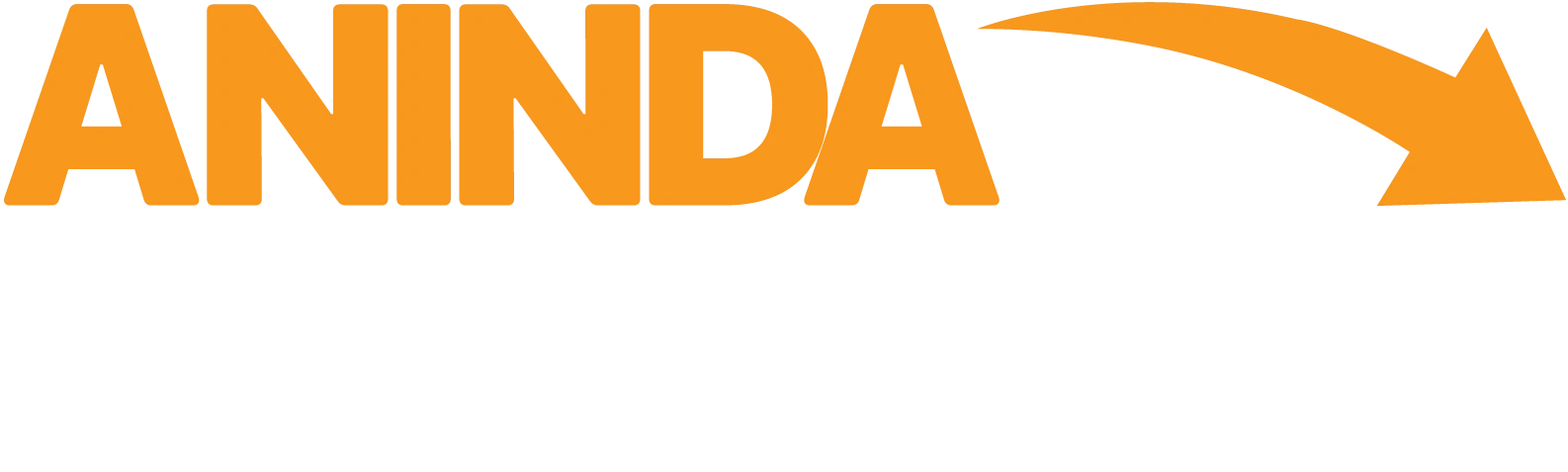 ANINDA KRİPTO
